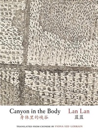 Abbildung von: Canyon in the Body - Zephyr Press