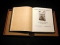 Cover: Bear Went Over the Mountain - Stephen F. Austin State University Press