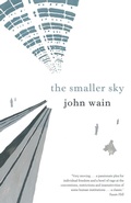 Cover: The Smaller Sky - VALANCOURT BOOKS