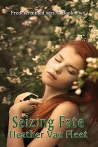 Enlarge image Cover: Seizing Fate - Sunshine Press