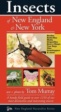 Cover: Insects of New England & New York - Kollath-Stensaas Publishers