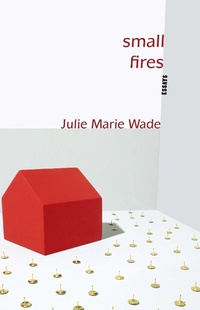 Enlarge image Cover: Small Fires - Sarabande Books