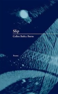 Enlarge image Cover: Slip - Western Michigan University, New Issues Press