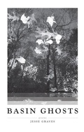 Cover: Basin Ghosts - Texas Review Press