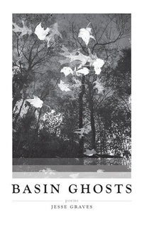 Enlarge image Cover: Basin Ghosts - Texas Review Press