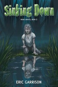 Enlarge image Cover: Sinking Down - Seventh Star Press, LLC