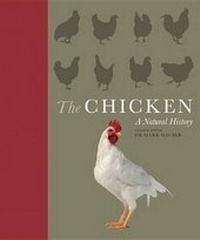 Enlarge image Cover: The Chicken - Race Point Publishing