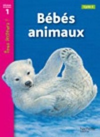 Enlarge image Cover: Tous lecteurs! - Hachette