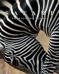 Enlarge image Cover: Safari - Flammarion