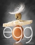Cover: Egg - Flammarion