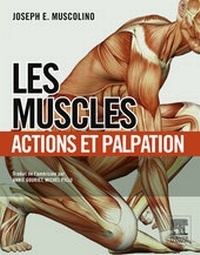 Abbildung von: Les muscles : actions et palpation - Elsevier