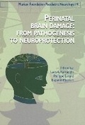 Cover: Perinatal Brain Damage - John Libbey Eurotext