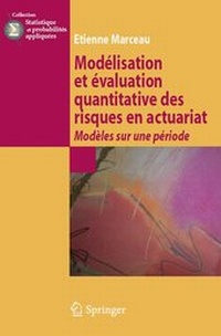 Enlarge image Cover: Modélisation et évaluation quantitative des risques en actuariat - Springer