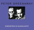 Cover: Eisenstein in Guanajuato - Dis Voir