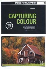 Enlarge image Cover: Capturing Colour - AVA Publishing SA