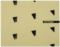 Cover: Serielle R&auml;ume - Pleuger, Ute, Prof.