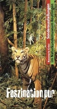 Cover: Faszination pur - saganverlag