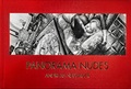 Cover: Panorama Nudes - Neubauer, Andreas