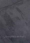 Cover: Schwarzwurzel - Kollektiv Mai.
