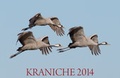 Cover: Kraniche 2014 - Wundert&uuml;te Musikproduktion