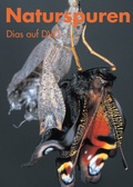 Cover: Naturspuren / Dias auf DVD - Lehrmittelverlag Z&uuml;rich