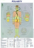 Cover: Polarity Poster - AZ Fachverlage