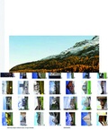 Cover: Wohn Raum Alpen / Abitare le alpi / Living in the Alps - Birkh&auml;user Verlag GmbH
