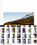 Cover: Wohn Raum Alpen / Abitare le alpi / Living in the Alps - Birkh&auml;user