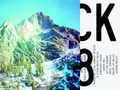 Cover: BLOCK 2008 - edition fink
