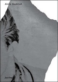 Cover: Alo&iuml;s Godinat - JRP Editions SA