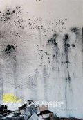 Cover: Gian Paolo Minelli - JRP Editions SA