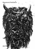 Cover: Raymond Pettibon - JRP Editions SA