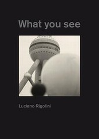 Enlarge image Cover: What You See - Lars Müller Publishers