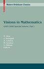 Cover: Visions in Mathematics - Birkh&auml;user