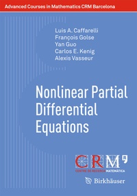 Enlarge image Cover: Nonlinear Partial Differential Equations - Birkhäuser