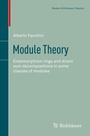 Cover: Module Theory - Birkhäuser