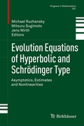 Cover: Evolution Equations of Hyperbolic and Schr&ouml;dinger Type - Birkh&auml;user