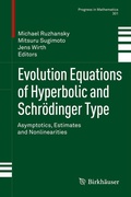 Cover: Evolution Equations of Hyperbolic and Schr&ouml;dinger Type - Birkh&auml;user