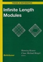Cover: Infinite Length Modules - Springer