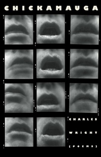 Enlarge image Cover: Chickamauga - Farrar, Straus and Giroux