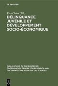 Cover: D&eacute;linquance juv&eacute;nile et d&eacute;veloppement socio-&eacute;conomique - De Gruyter Mouton