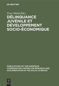 Cover: D&eacute;linquance juv&eacute;nile et d&eacute;veloppement socio-&eacute;conomique - De Gruyter Mouton