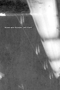 Cover: Music and Suicide - Farrar, Straus & Giroux Inc
