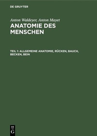 Abbildung von: Allgemeine Anatomie, Rücken, Bauch, Becken, Bein - De Gruyter