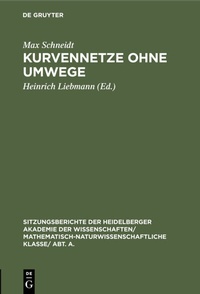 Abbildung von: Kurvennetze ohne Umwege - De Gruyter