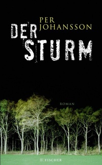 Abbildung von: Der Sturm - S. Fischer