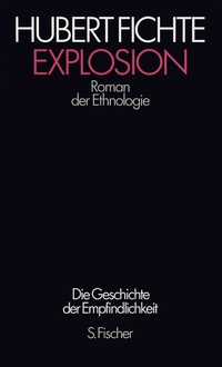 Abbildung von: Explosion - S. Fischer