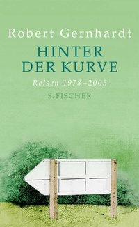 Abbildung von: Hinter der Kurve - S. Fischer