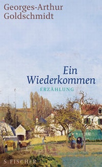 Abbildung von: Ein Wiederkommen - S. Fischer