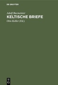 Cover: Keltische Briefe - De Gruyter Mouton